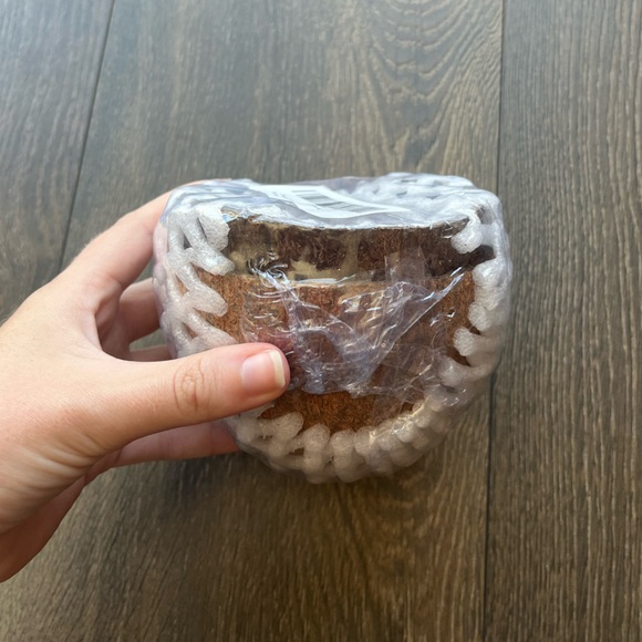 Coconut Shell Halves - Picture 3 of 8